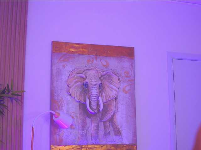 BlackCloverX live cam on BongaCams