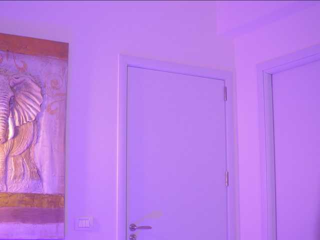 BlackCloverX live webcam show