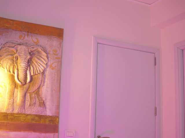 blackcloverx cam belle