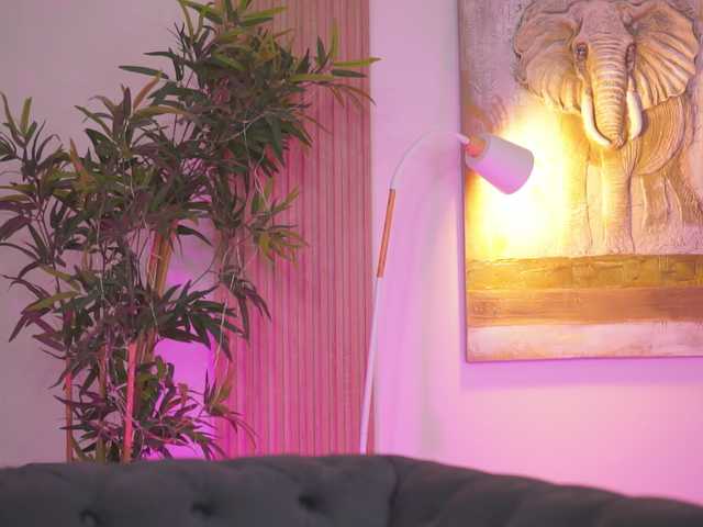 blackcloverx live sex show
