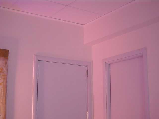 BlackCloverX live cam on BongaCams