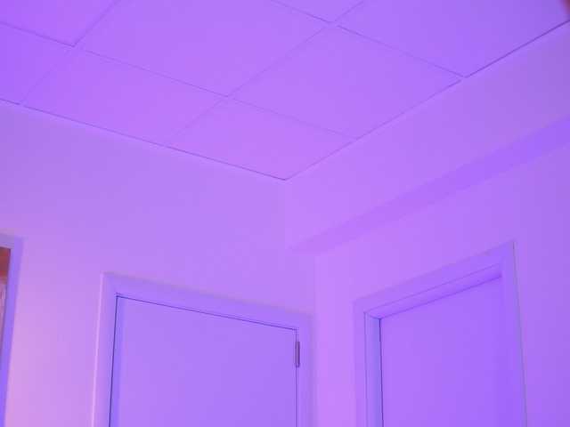 BlackCloverX live cam on BongaCams