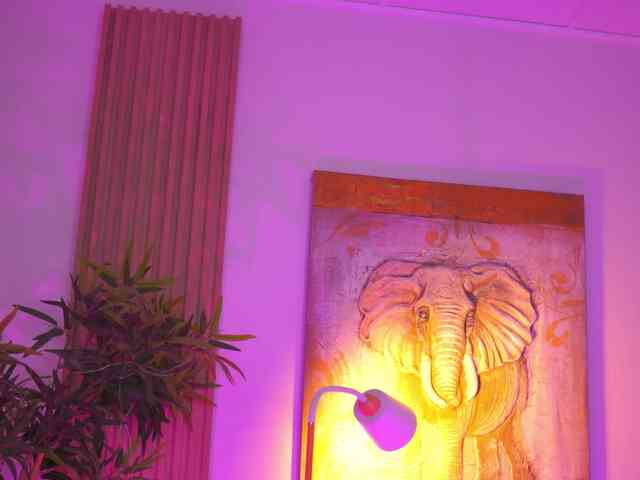 BlackCloverX webcam