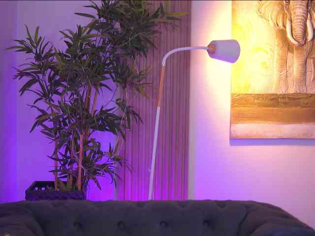 BlackCloverX webcam