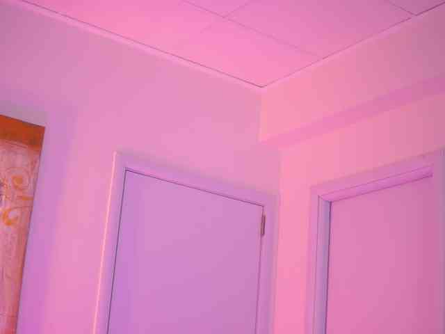 BlackCloverX webcam