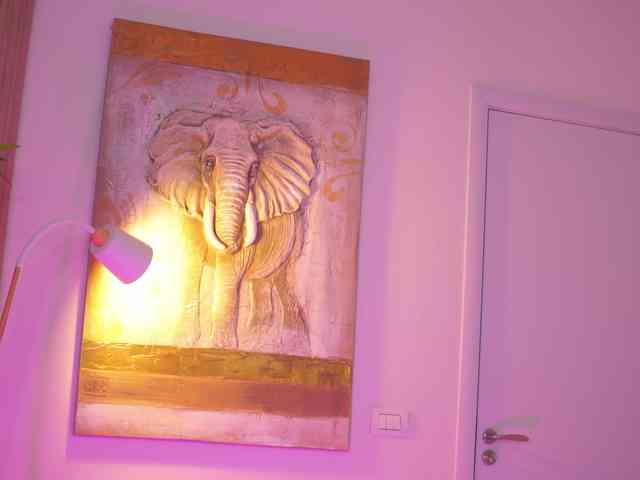 BlackCloverX webcam