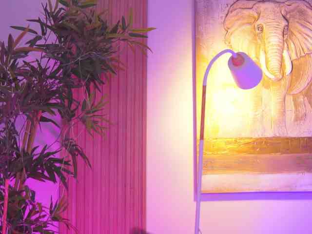 BlackCloverX webcam