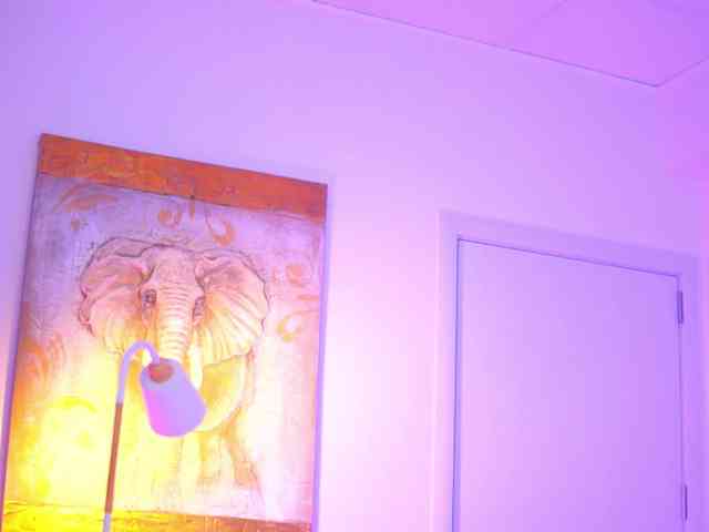 BlackCloverX webcam
