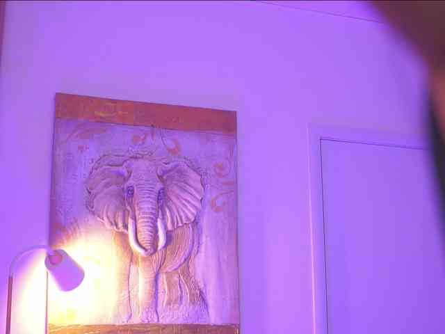 BlackCloverX webcam