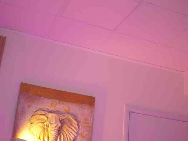 BlackCloverX webcam