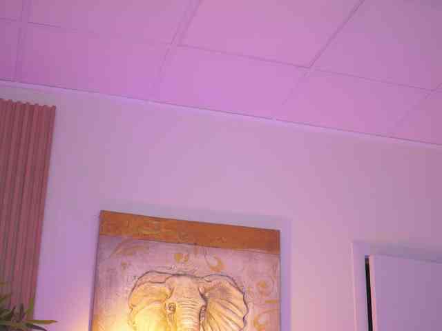 BlackCloverX webcam