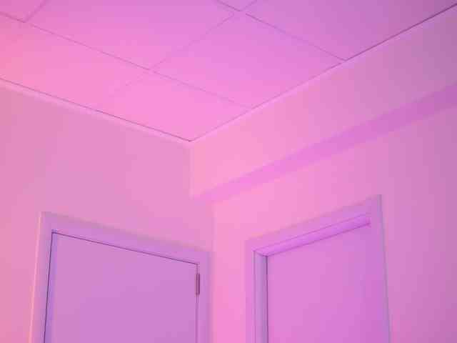 BlackCloverX webcam