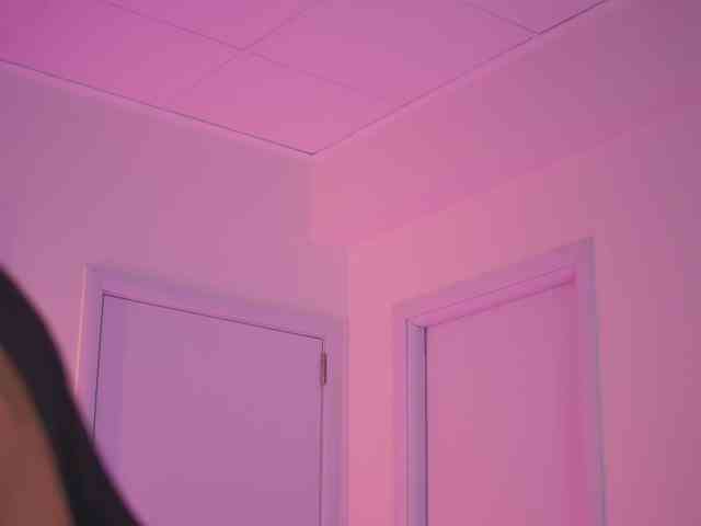 BlackCloverX webcam