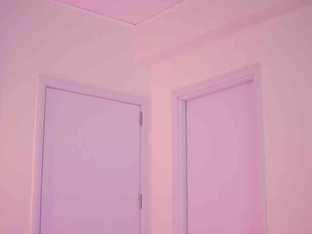 BlackCloverX webcam