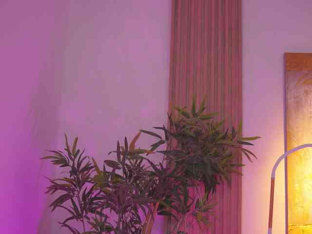 BlackCloverX webcam