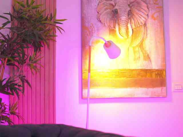 BlackCloverX webcam