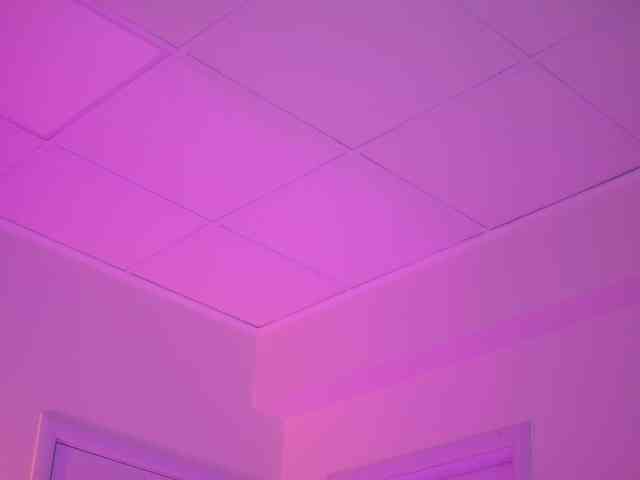 BlackCloverX webcam