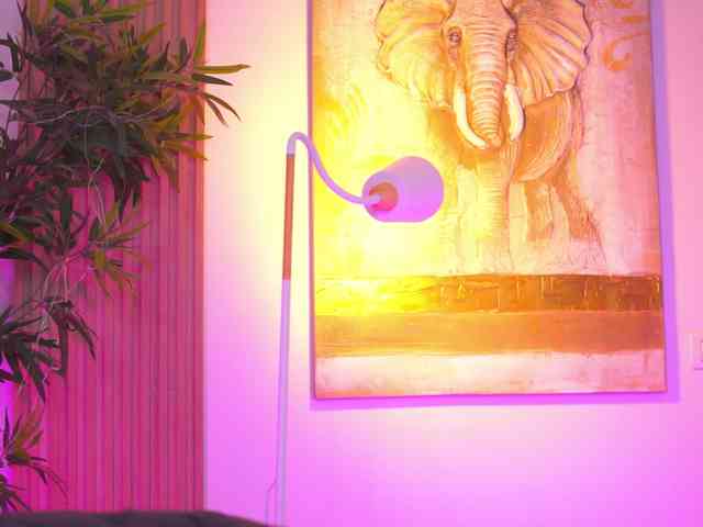 BlackCloverX webcam