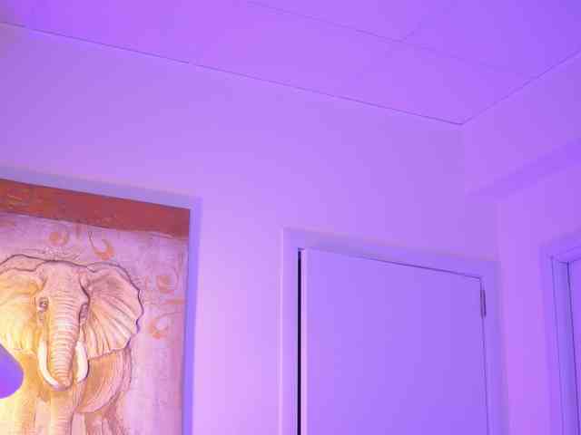 BlackCloverX webcam
