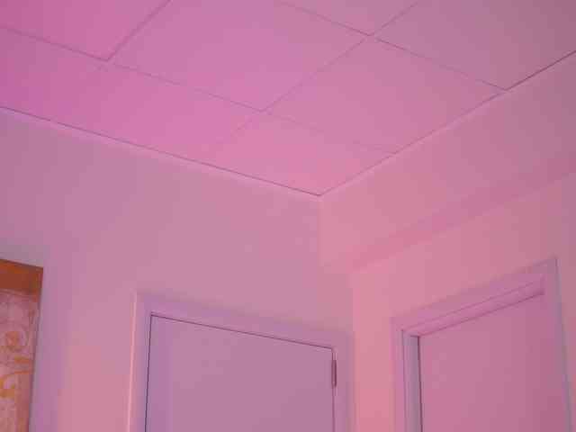 BlackCloverX webcam