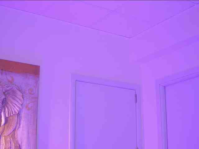 BlackCloverX webcam