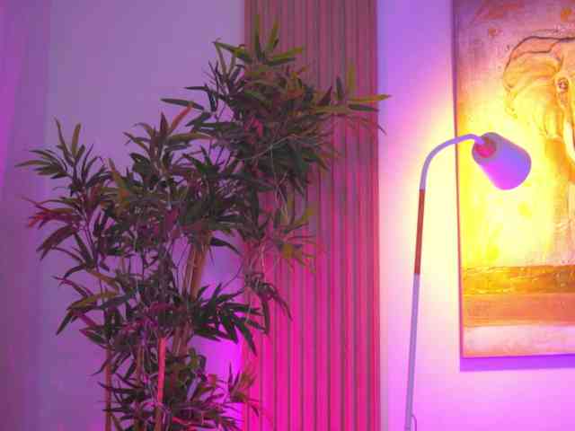 BlackCloverX webcam