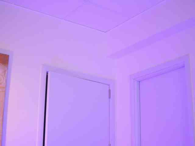 BlackCloverX webcam