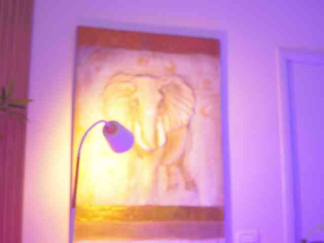 BlackCloverX webcam