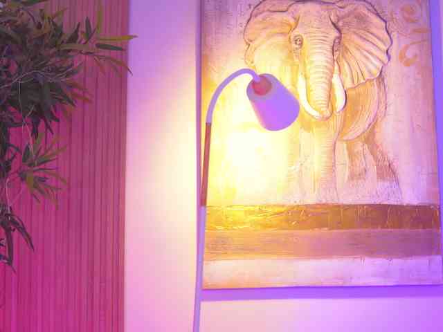 BlackCloverX webcam
