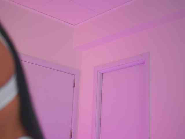 BlackCloverX webcam