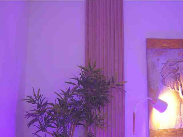 BlackCloverX webcam