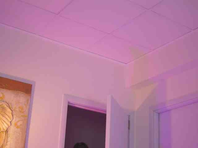 BlackCloverX webcam