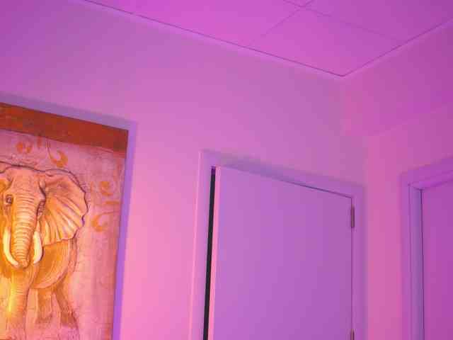 BlackCloverX webcam