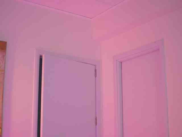 BlackCloverX webcam