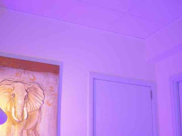 BlackCloverX webcam