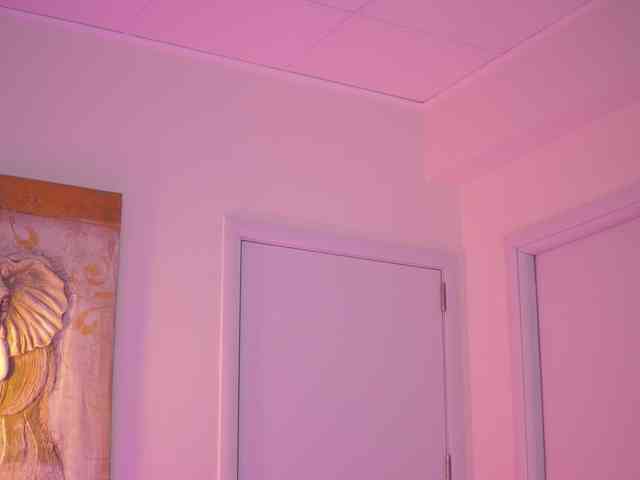 BlackCloverX webcam