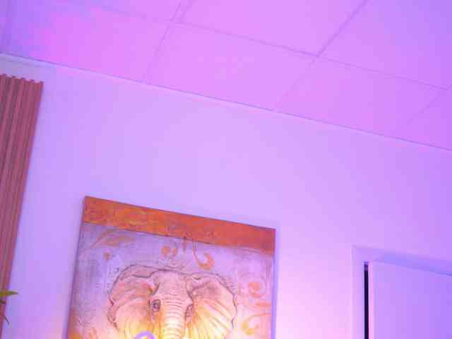 BlackCloverX webcam