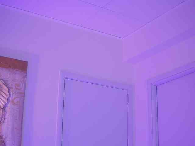 BlackCloverX webcam