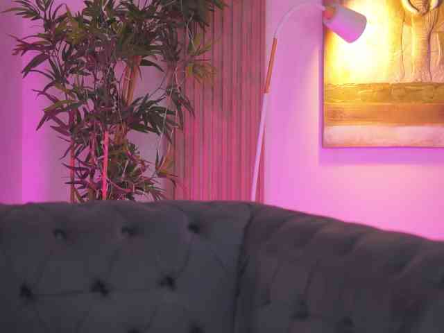 BlackCloverX webcam