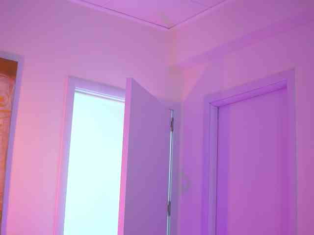 BlackCloverX webcam
