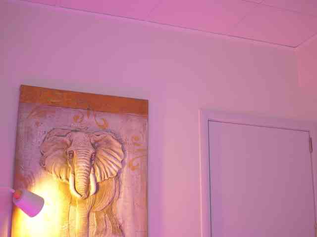 BlackCloverX webcam