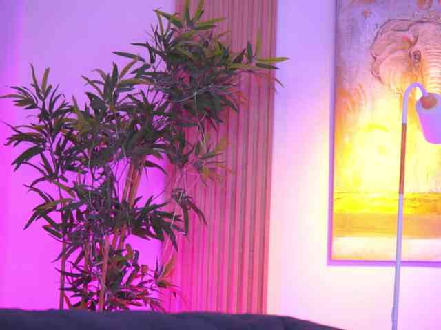 BlackCloverX webcam