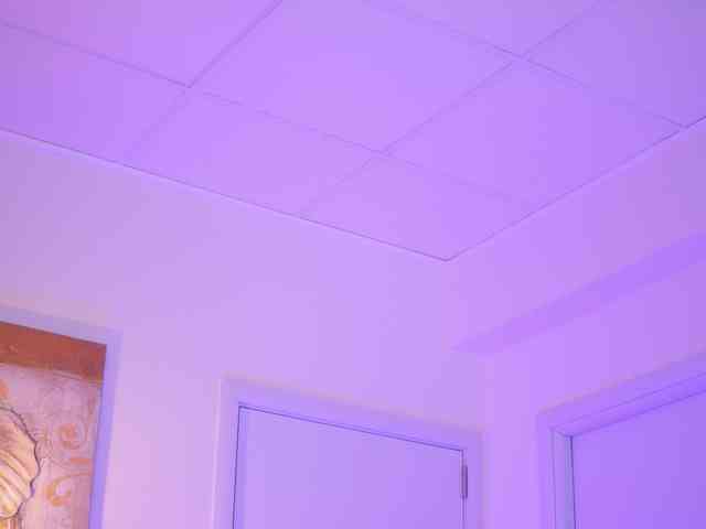 BlackCloverX webcam