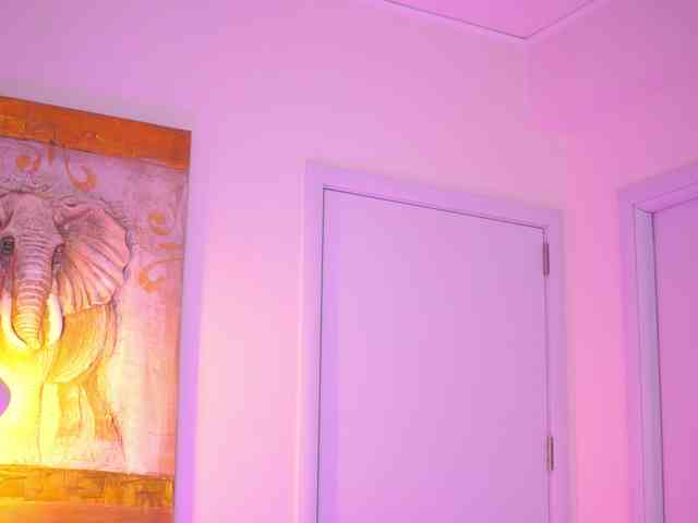 BlackCloverX webcam