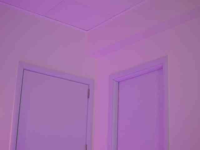 BlackCloverX webcam
