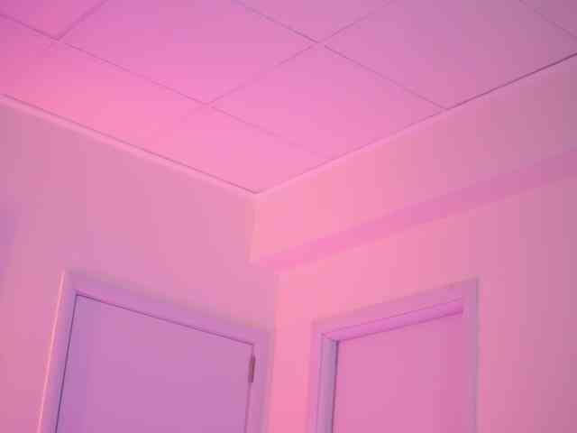 BlackCloverX webcam