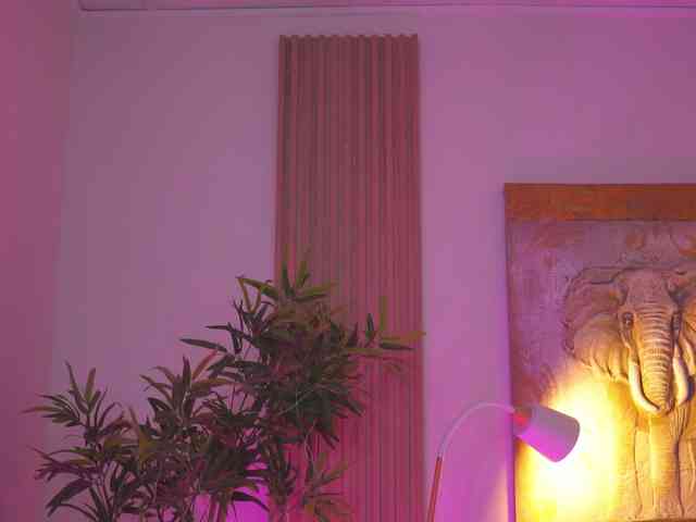 BlackCloverX webcam