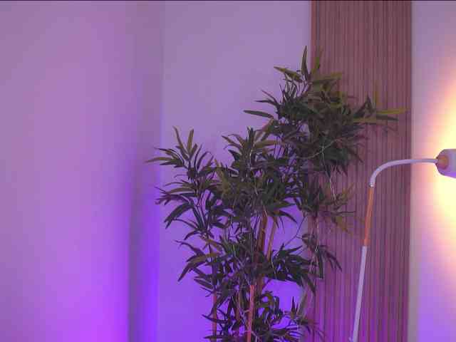 BlackCloverX webcam