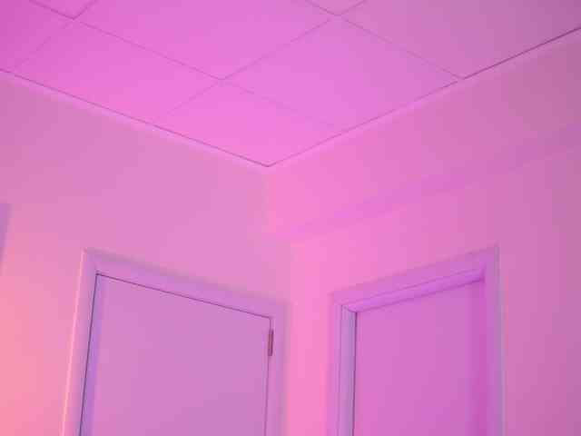 BlackCloverX webcam