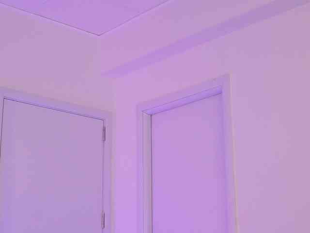 BlackCloverX webcam